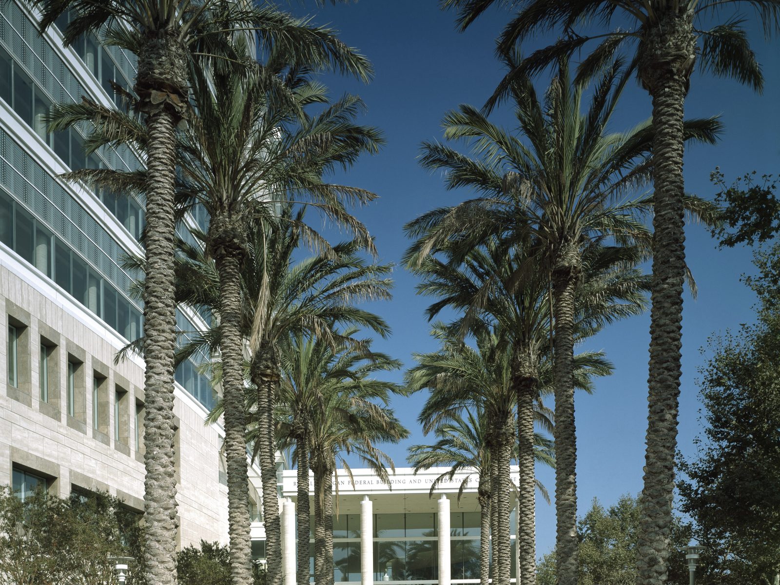 Palm-lined plaza at the Ronald Reagan Federal Building and United States Courthouse, Santa Ana